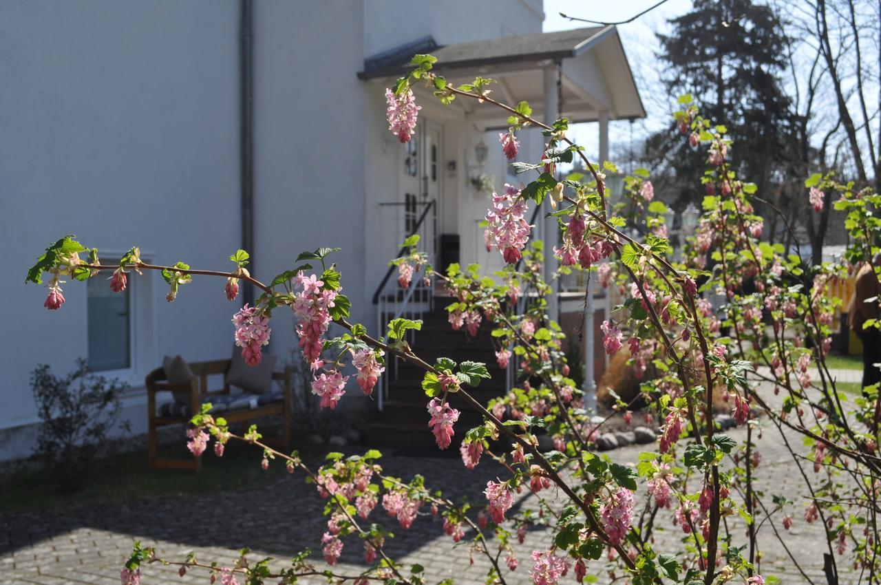 Pension Villa Frohsinn Sellin Auf Ruegen Esterno foto
